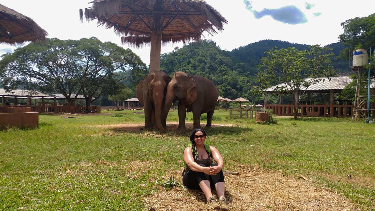 Photo of Ivory seated outdoors on ground, with elephants taker cover under shade in the background