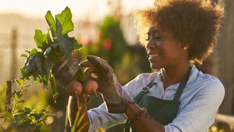 Woman working in a small farm inspecting vegetables