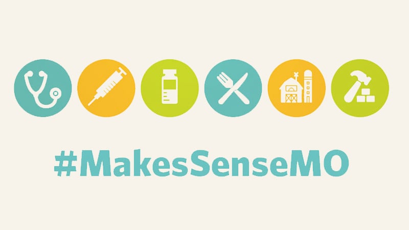 Screen Capture from Makes Sense MO ad