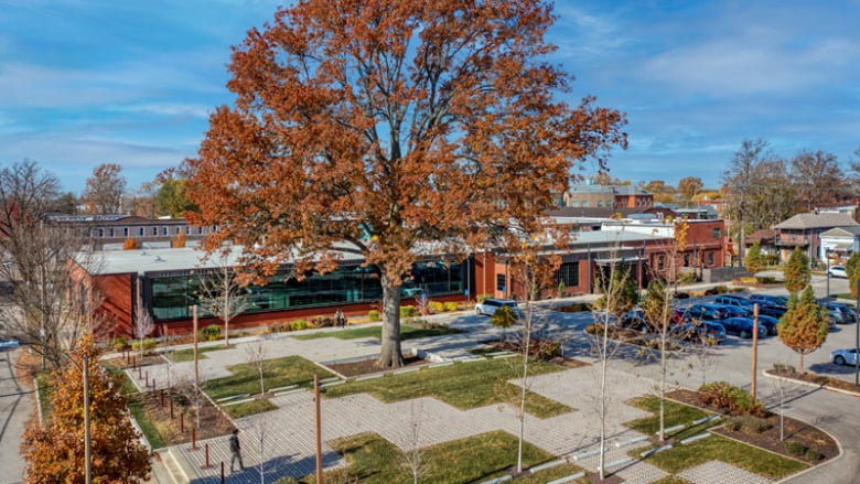 Exterior drone image of front of office building with large tree in front 