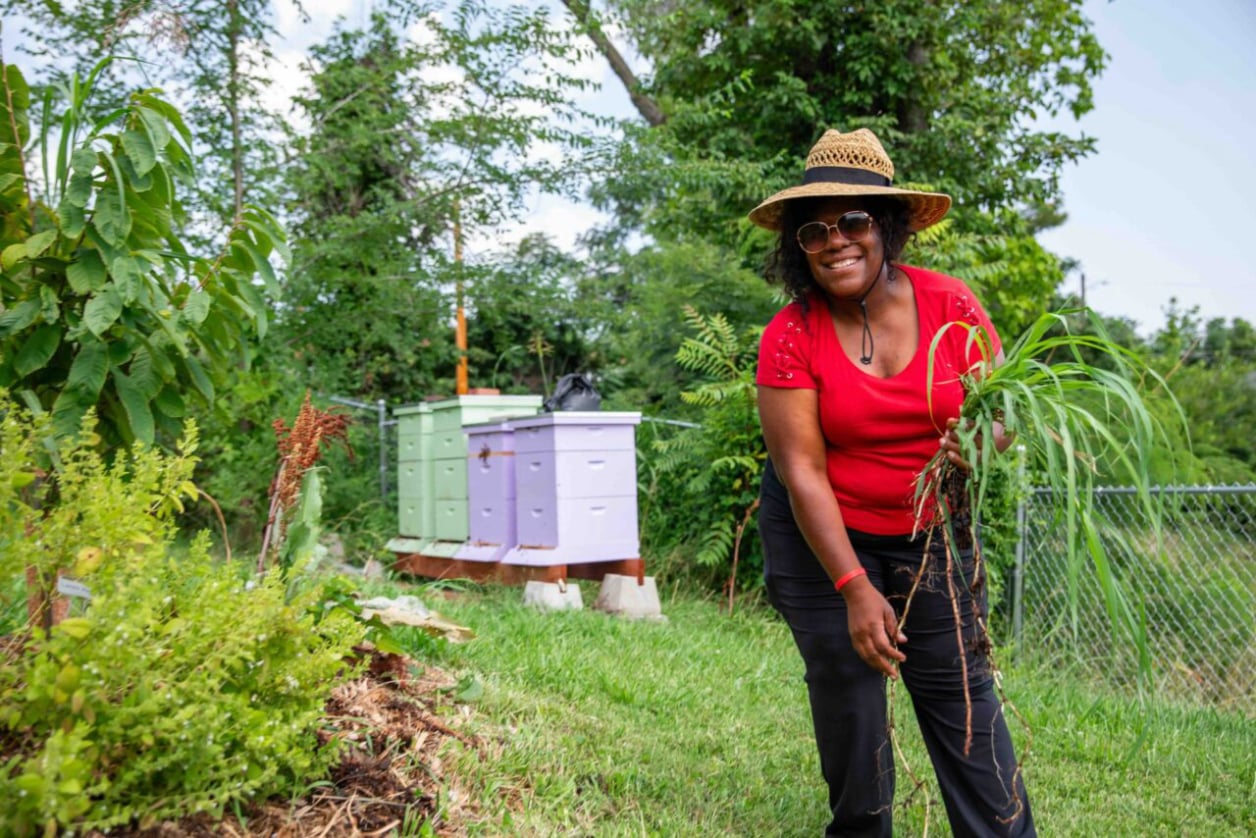 Farmer tending to crops, smiling holding plants with bee hives in background