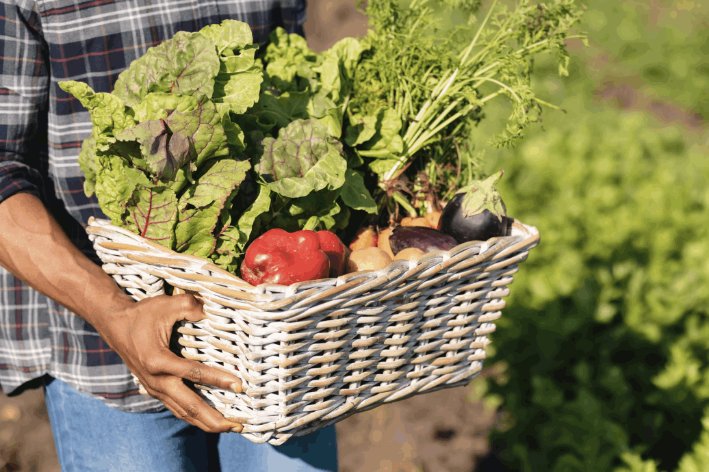 Farmer holding a basket of fresh produce in a field