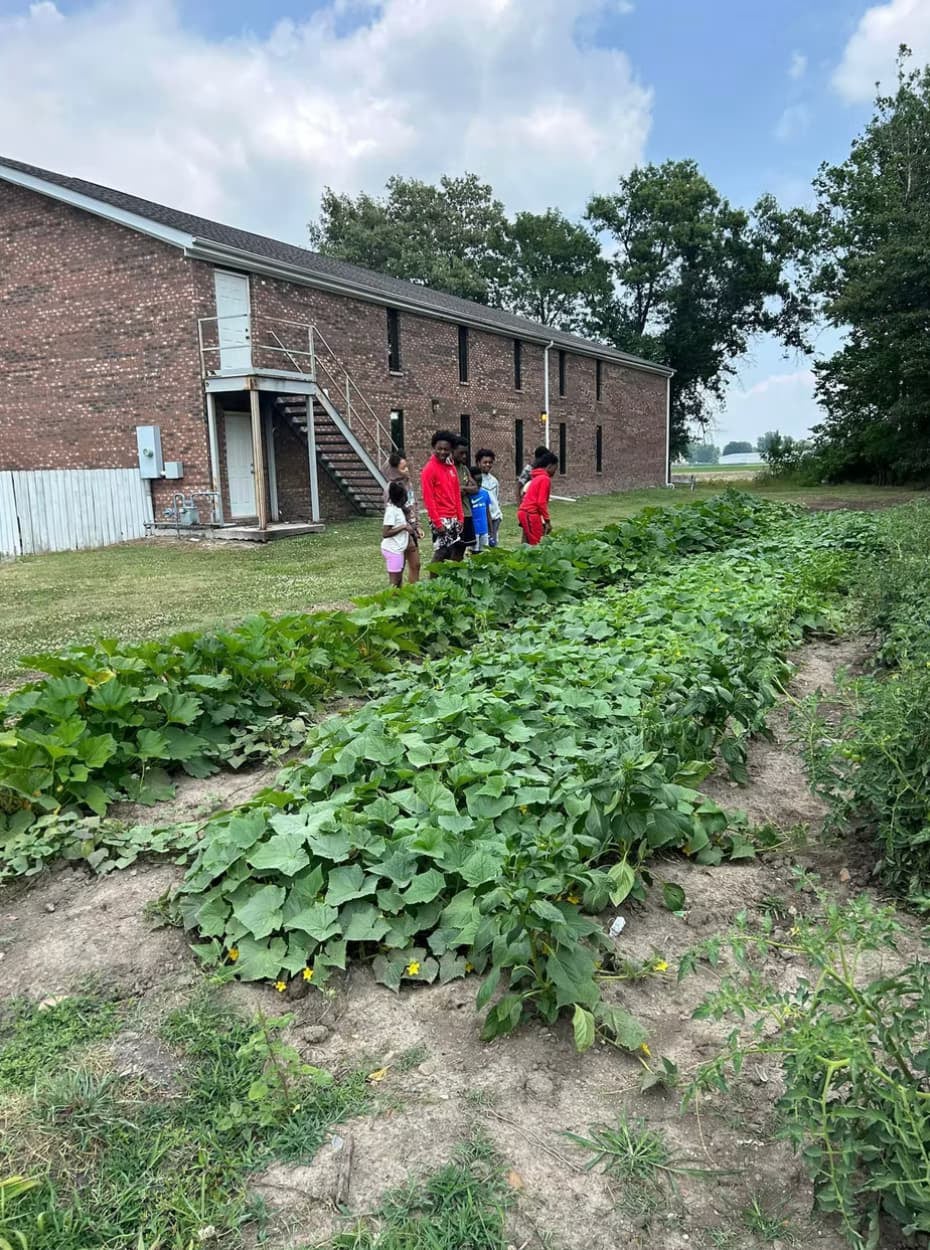 Rows of lush gardens growing outside a brick building with young observers overlooking the progress