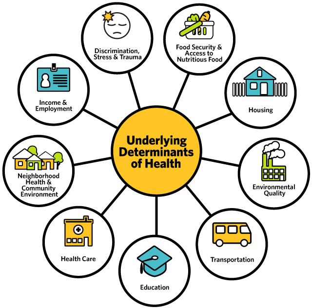 Social Determinants Of Health Chart