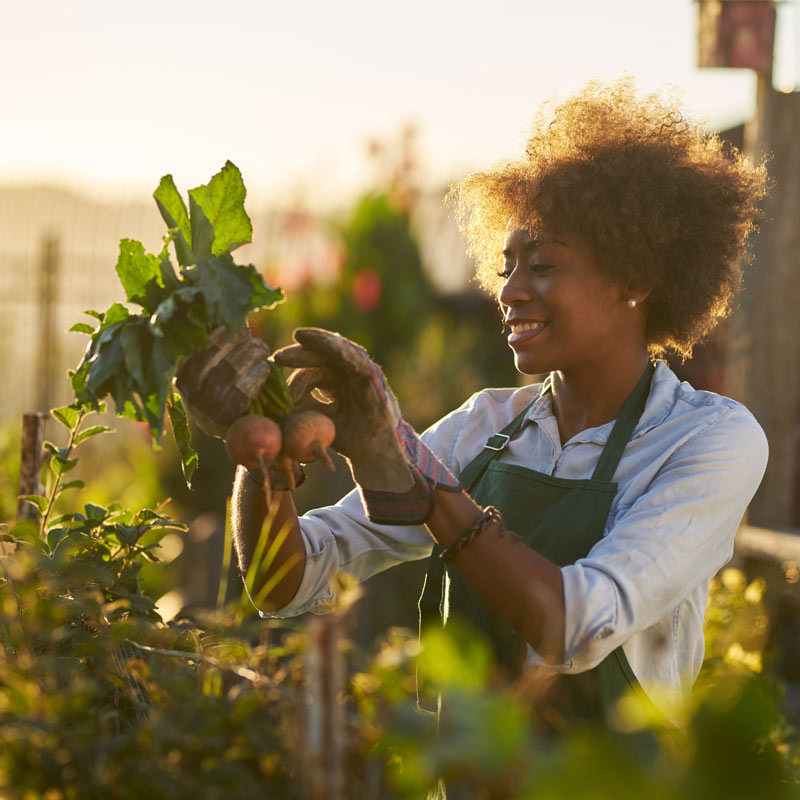 Missouri Foundation for Health Launches New Initiative to   Ensure Equitable Access to Healthy, Affordable, Culturally Relevant Food